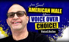Voice Like Joe - Voice Over Artist